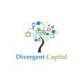 Divergent Capital