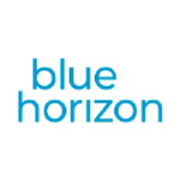 Blue Horizon Capital