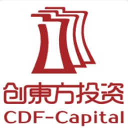 China Development Financial