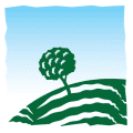 Maxfield Capital