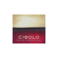 Cibolo Capital Partners
