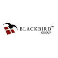 Blackbird Group, Inc.
