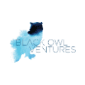 Black Owl Ventures