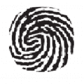 Biometric Update