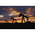 Marshall Spindletop & Holdings
