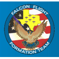 Falcon Flight