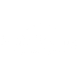 Mainspring Capital