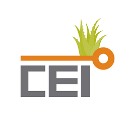 Center for Entrepreneurial Innovation (CEI)