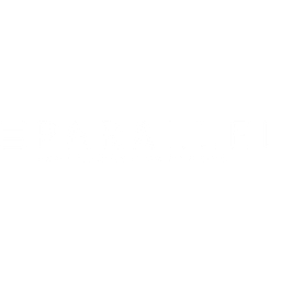Parallel Investment Partners