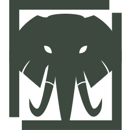 Ivory Capital