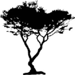 The Cypress Funds Llc