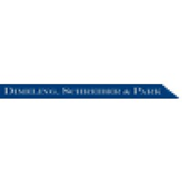 DSP Partners LLC