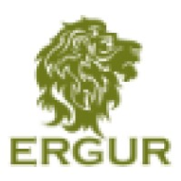 The Ergur Group