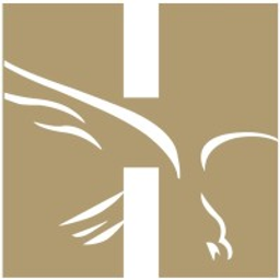 hertz investment group