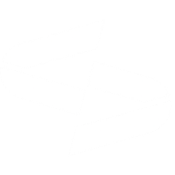 Scale Capital