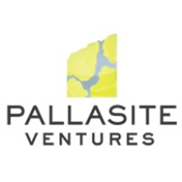 Pallasite Ventures Inc.