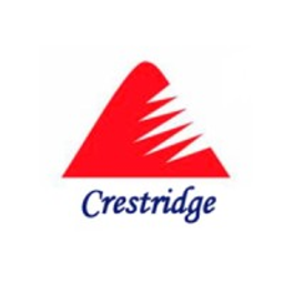 CrestridgeConsulting inc