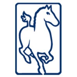 Ferghana Partners