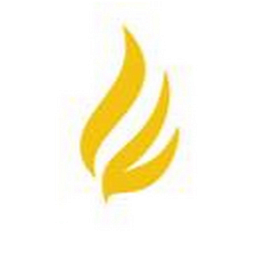 Larson Financial Group