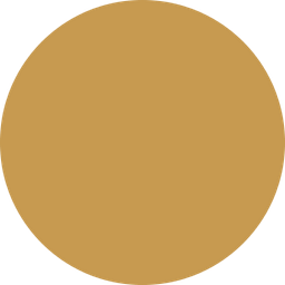 Altschuler Financial Services