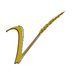 V Wealth Advisors