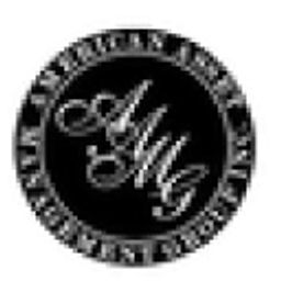 American Asset Management Group