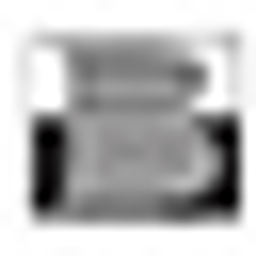 Bache Capital Management