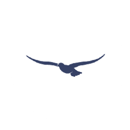 Bird Rock Asset Management