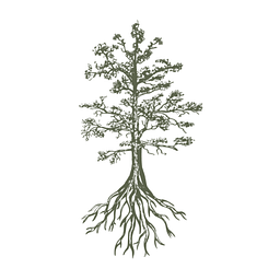 Black Cypress Capital