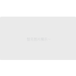 Chaozhou Chaoan Chaoxin Ceramics Industrial Co., Ltd.