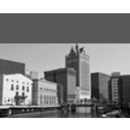 Fortress Partners