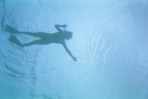 Eileen Lee