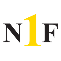 Network 1 Financial Securities Inc.