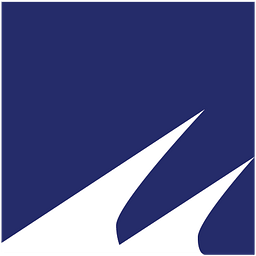 South Street Securities Holdings, Inc.
