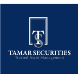 Tamar Securities, LLC