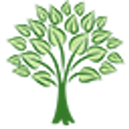 Willow Wealth Management