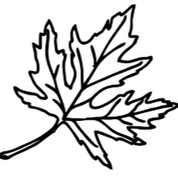 Black Maple Group