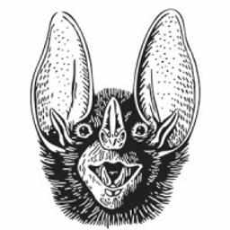 Batshit Crazy Ventures