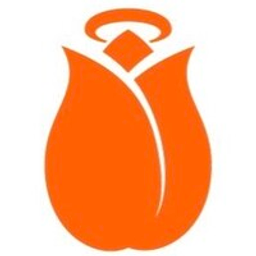 Holland Startup