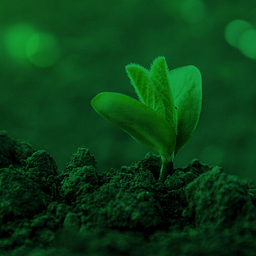 Greenbackers Investment Capital