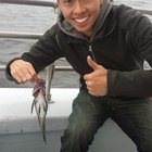 Vincent Tang