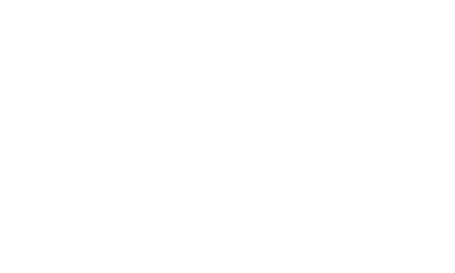 The Bricks