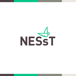 NESsT