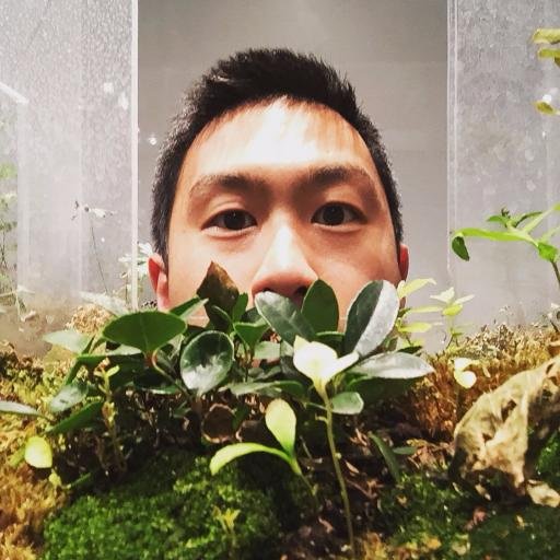 Andrew Lau
