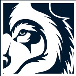 Blue Wolf Capital Partners