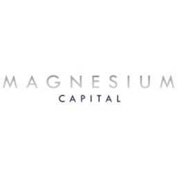 Magnesium Capital LLP