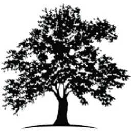 White Oak Global Advisors