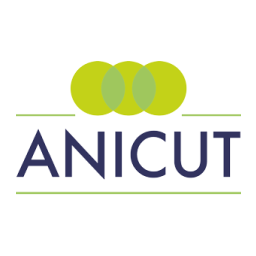 Anicut Capital LLP