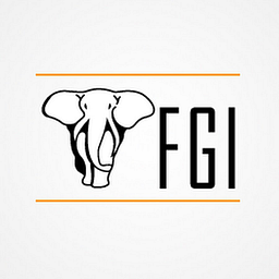 FGI (FGI Finance & FGI Risk)