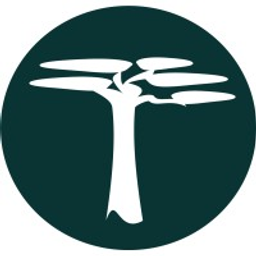 Mbuyu Capital Partners Ltd